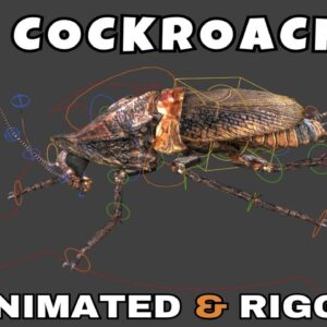 Cockroach Rigged And Animated 3D Model