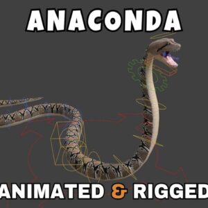 Anaconda Rigged And Animated 3D Model