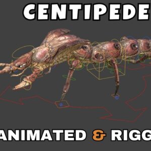 Centipede Rigged And Animated 3D Model