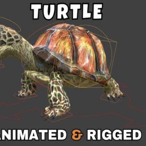 Turtle Rigged And Animated 3D Model