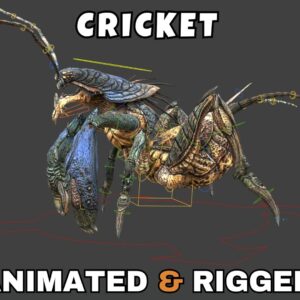 Cricket Rigged And Animated 3D Model