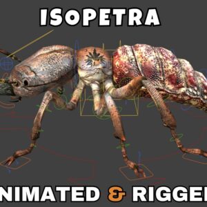 Isopetra Rigged And Animated 3D Model