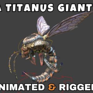 Vespa Titanus Giant Wasp Rigged And Animated 3D Model