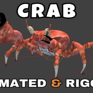 Crab Rigged And Animated 3D Model