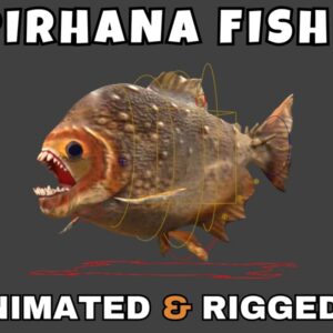 Pirhana Fish Rigged And Animated 3D Model