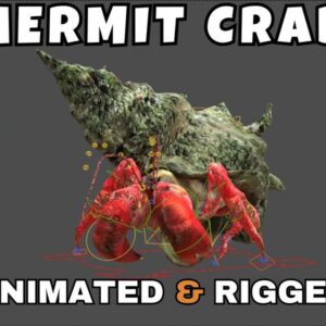 Hermit Crab Rigged And Animated 3D Model