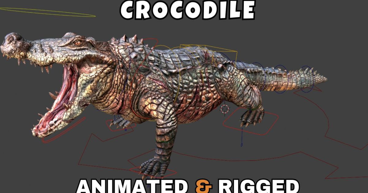 Crocodile cover