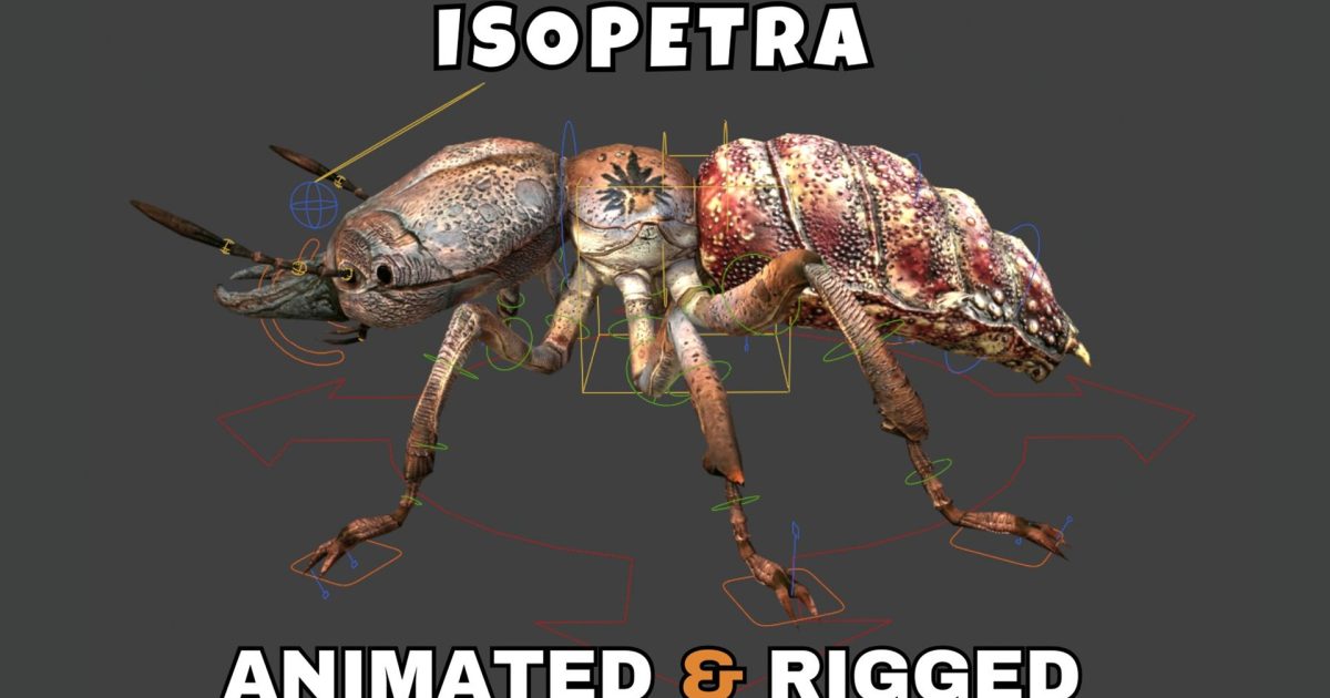 Isopetra cvr