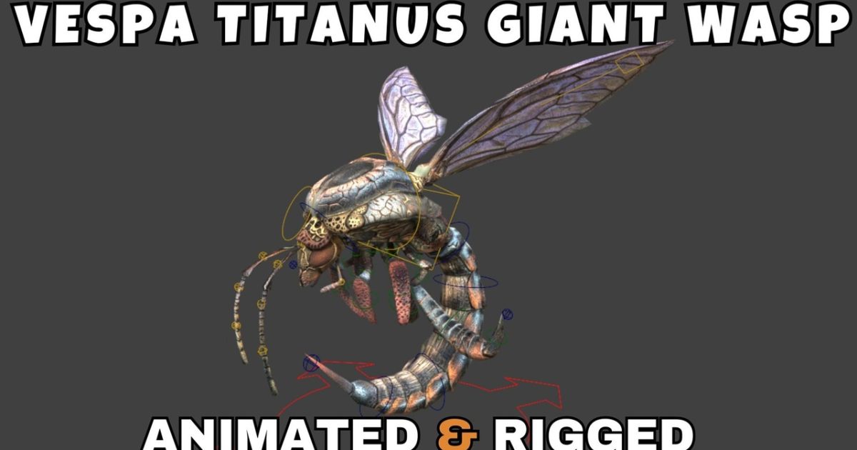 Vespa Titanus Giant Wasp Rigged And Animated 3D Model